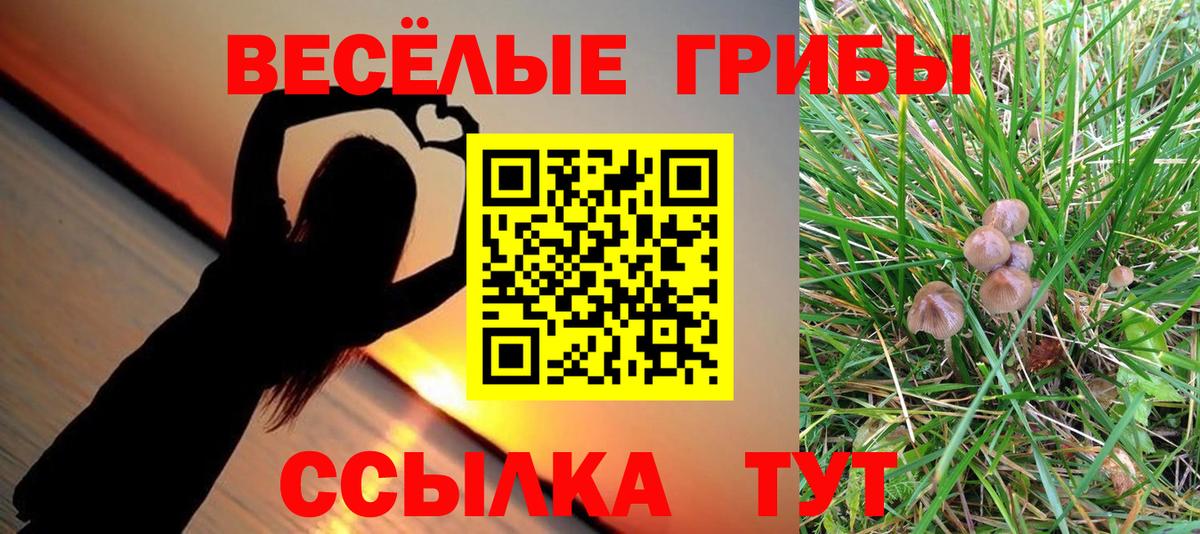 Удомля  цена наркотик  Вход с VPN  Псилоцибиновые грибы мухоморы 